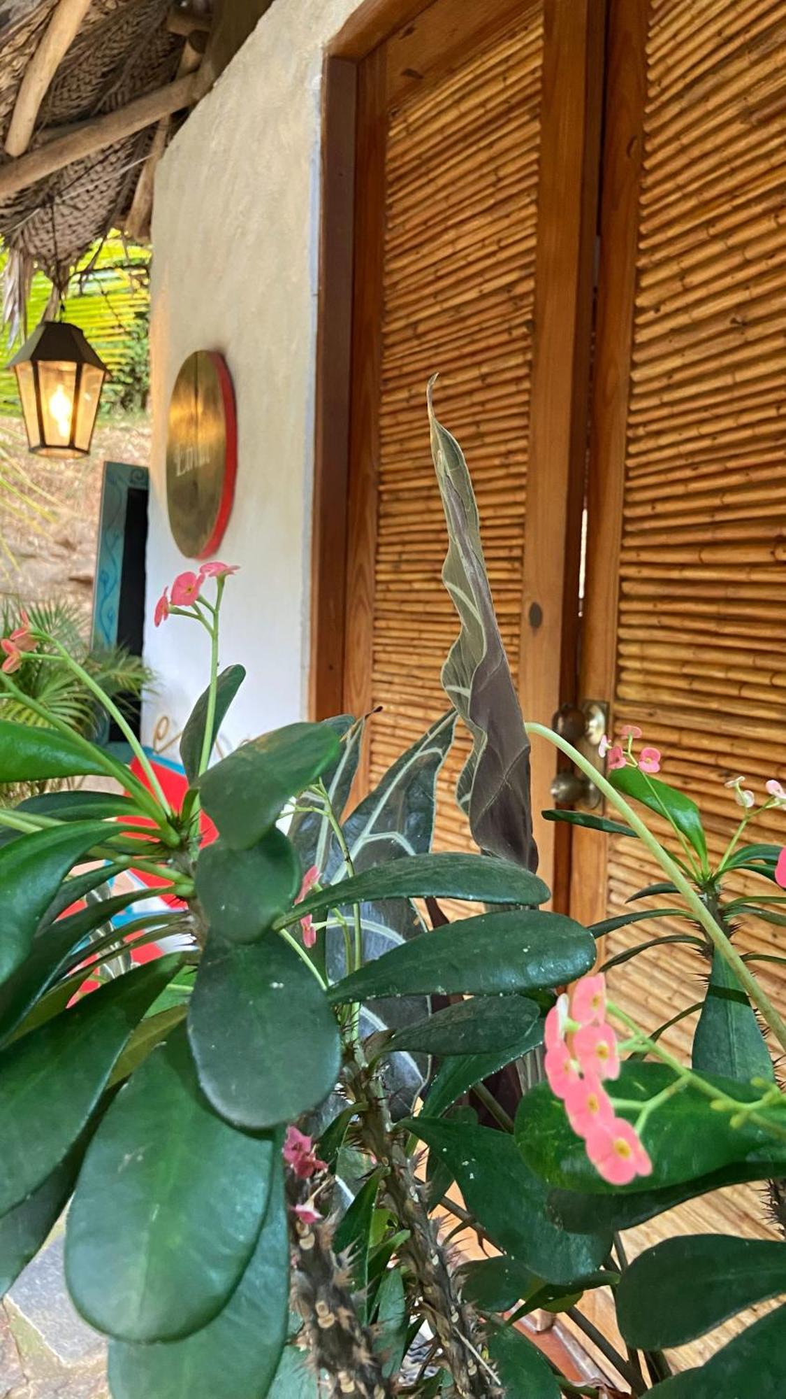 Etnia Lodge مينسا المظهر الخارجي الصورة